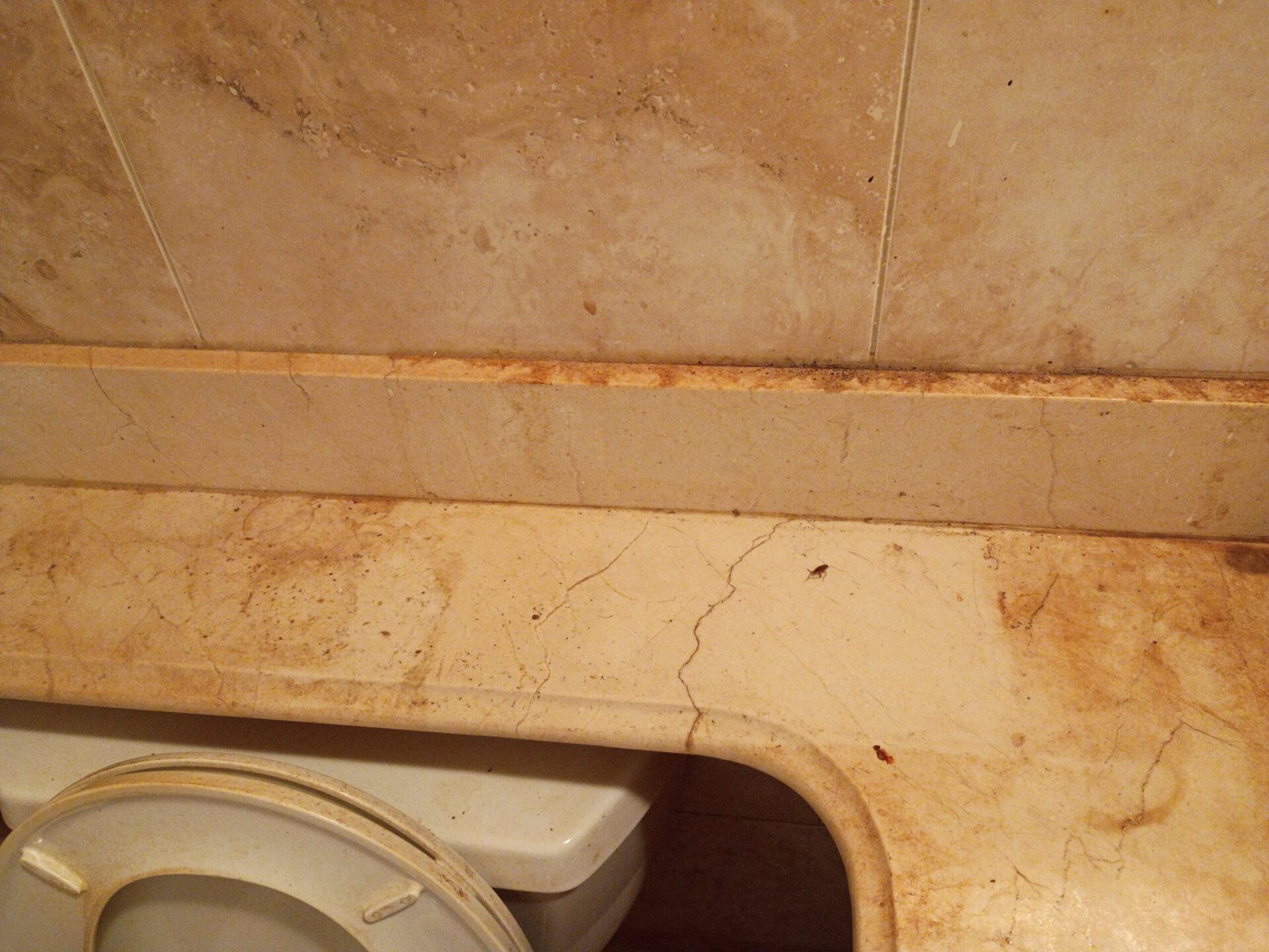 Limpieza profunda in Irvington