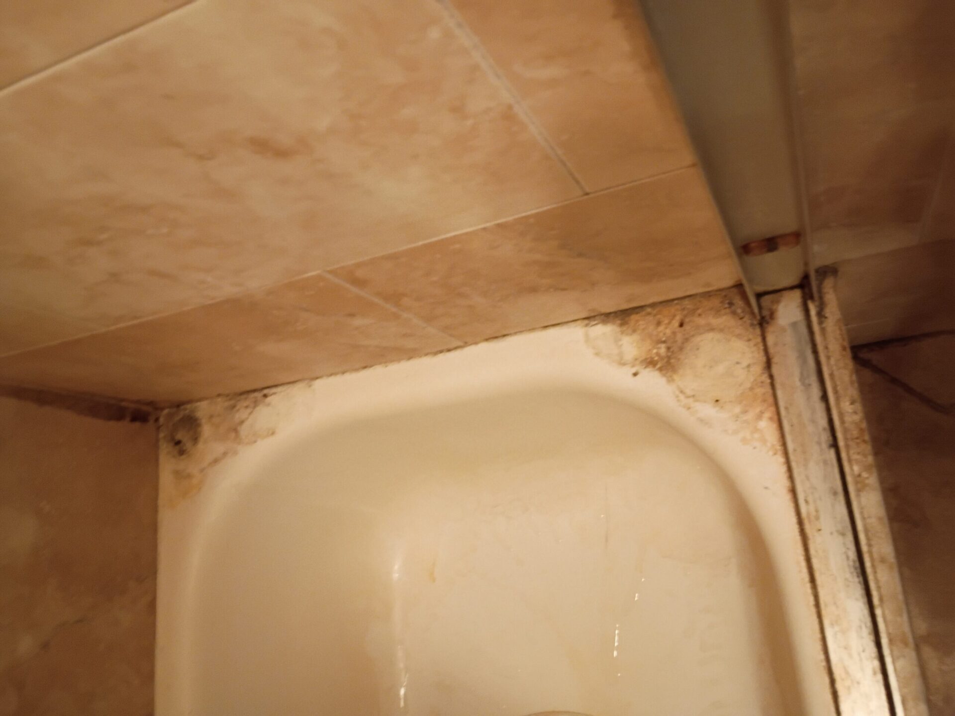 Limpieza profunda in Irvington